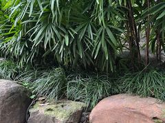 -融汇温泉