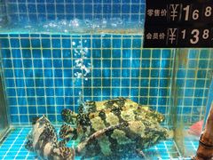 -庆赫隆融合菜馆(群力店)