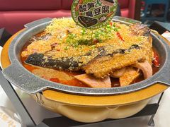 -南锣肥猫·麻辣烤鱼·16年现烤现卖(财富购物中心店)