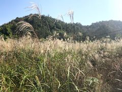-会稽山峡洞漂流-上青古道