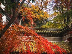 -乌镇望津里精品酒店