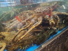 -盒马鲜生(大成店)