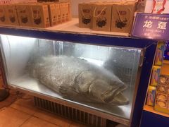-御唐府海珊瑚主题餐厅