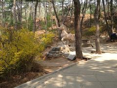-红螺寺