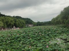 -北山公园