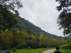 景点-黄金沟旅游风景区