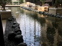 -上海外滩茂悦大酒店