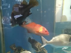 -太平洋PACIFIC SPA•奢睿水疗(万象城店)