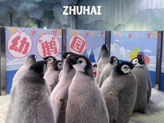 -珠海长隆海洋王国