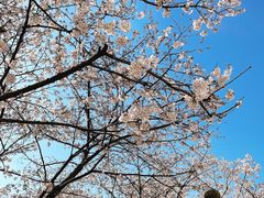 -苏州上方山国家森林公园