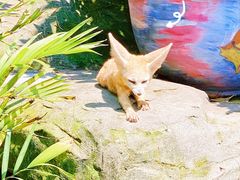 -乐和乐都主题乐园