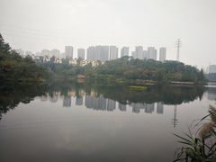 -重庆彩云湖湿地公园