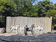 -白马涧龙池景区