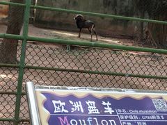 -广东茂名森林公园