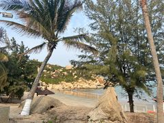 -那琴半岛地质海洋公园