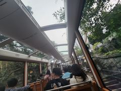 -山顶缆车