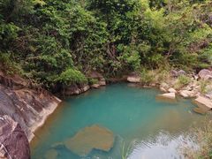 -广州白江湖森林公园