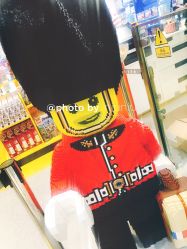 -乐高品牌旗舰店(人民广场店)