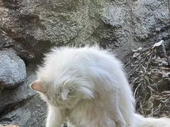 -北京水岸山吧度假村(雁栖镇店)