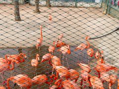 -鄂尔多斯野生动物园