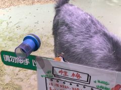 -正佳雨林生态植物园