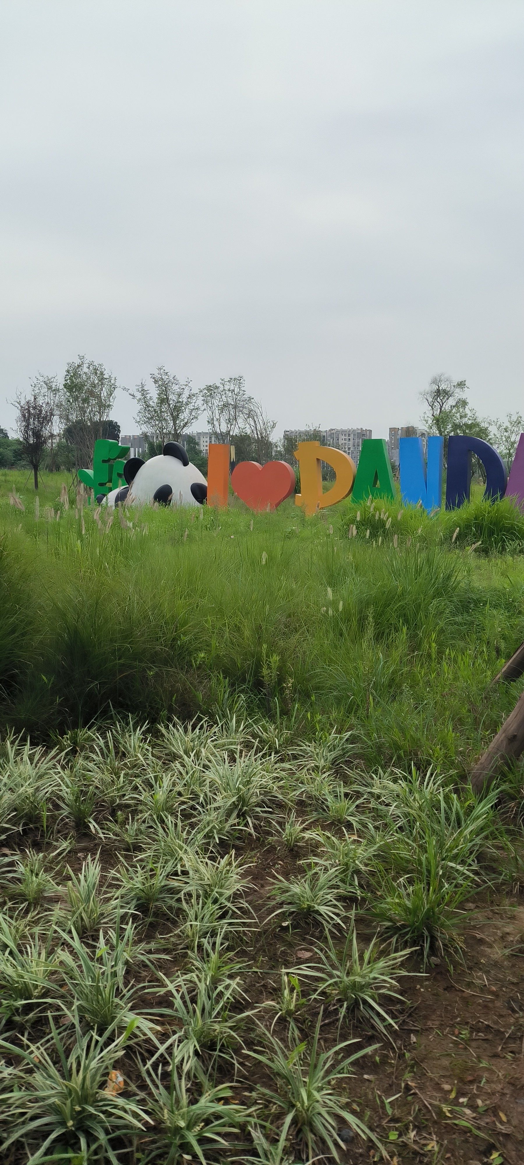 成都熊猫养育基地