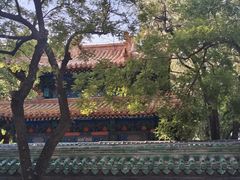 -北京国子监胡同