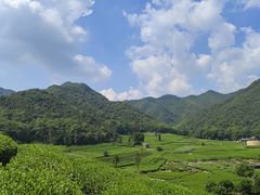 -龙坞茶村