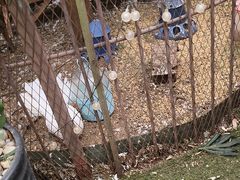 -西西里轰趴日租聚会别墅·团建拓展