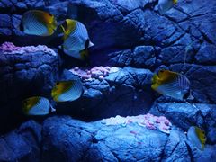 -成都浩海立方海洋公园