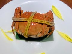 -觀芷隐轩