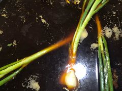 芋儿鸡-石灰市毛记烧鸡公(解放碑店)