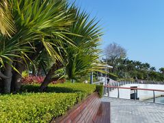 -深圳湾公园(南山区)