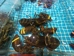 -三亚火车头万人海鲜广场