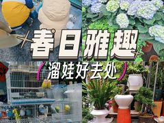 -苏州市皮市街花鸟工艺品市场