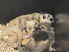 -太平洋海底世界