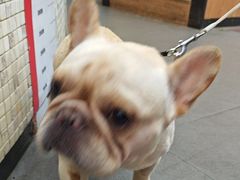 -联合动物医院(光谷诊疗中心)