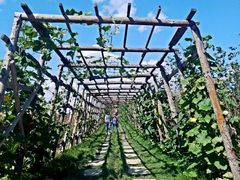 -北纬44度·金珠花海休闲农业旅游景区