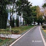真想穿上跑鞋，沿湖跑几圈