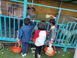 -小蜜蜂农场(凯德七宝购物广场店)