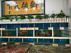水产区-鑫悦楼煎蟹·16年海鲜大排档