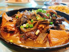 -食家鸽园