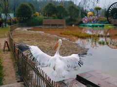 -黄龙溪欢乐田园