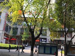 -圣爱中医馆(七星岗店)