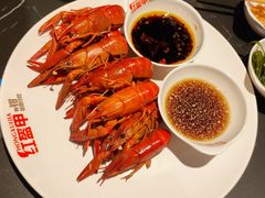 -红盔甲·小龙虾(人民广场店)