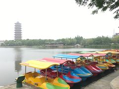 -葛仙湖公园