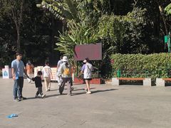 -西双版纳原始森林公园