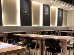-SBCD Korean Tofu House
