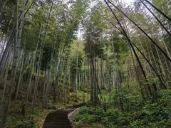 -梅岭月亮湾山体公园