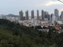 -青岛中山公园-索道售票处